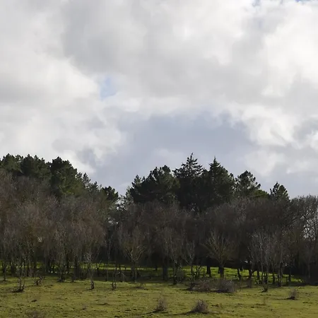 Restaurante Racha 3*