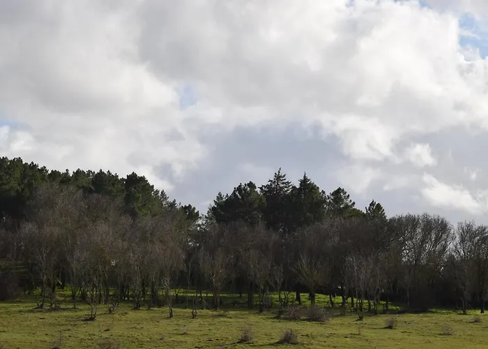 Restaurante Racha 3*